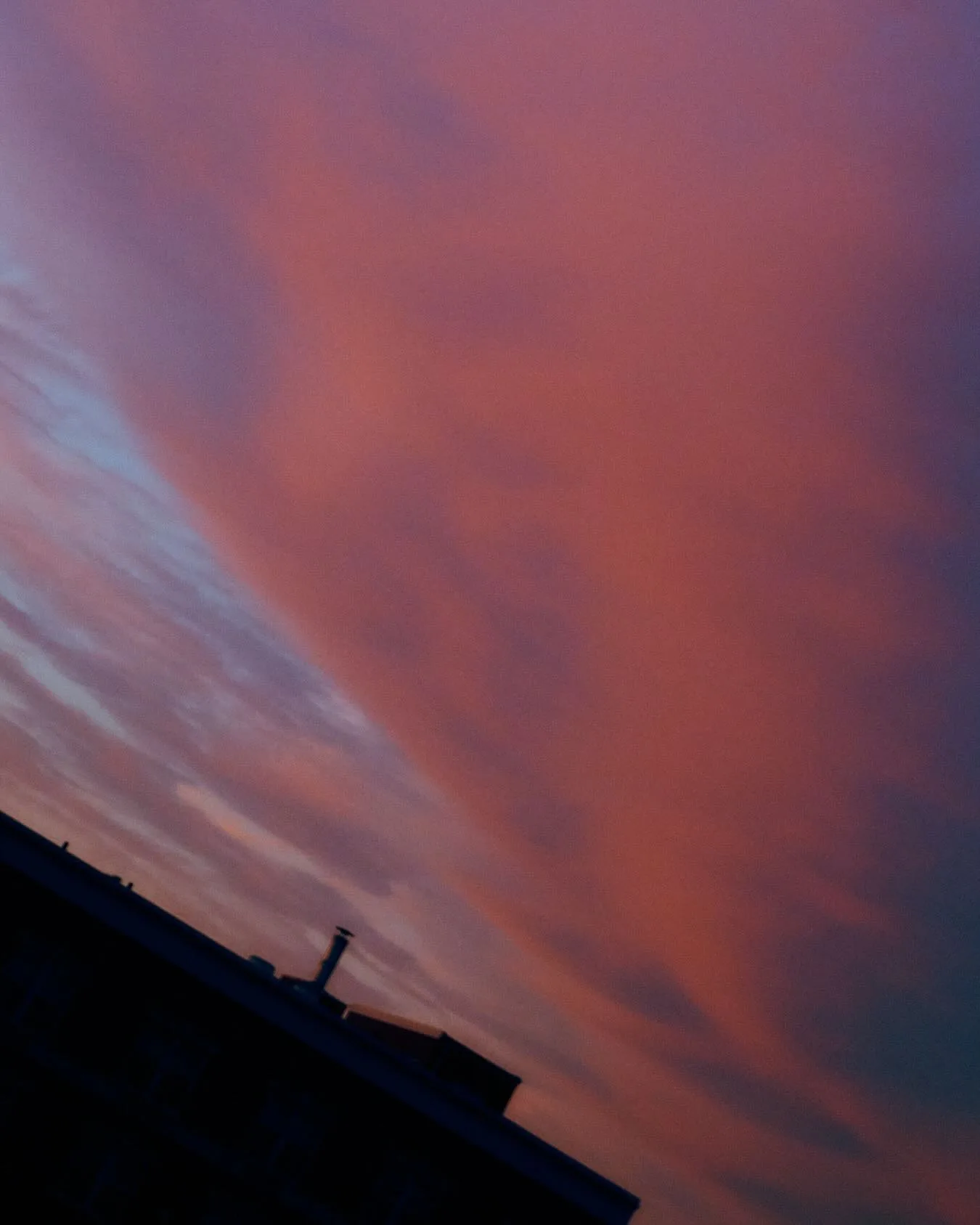 Cait Oppermann 摄影作品 12