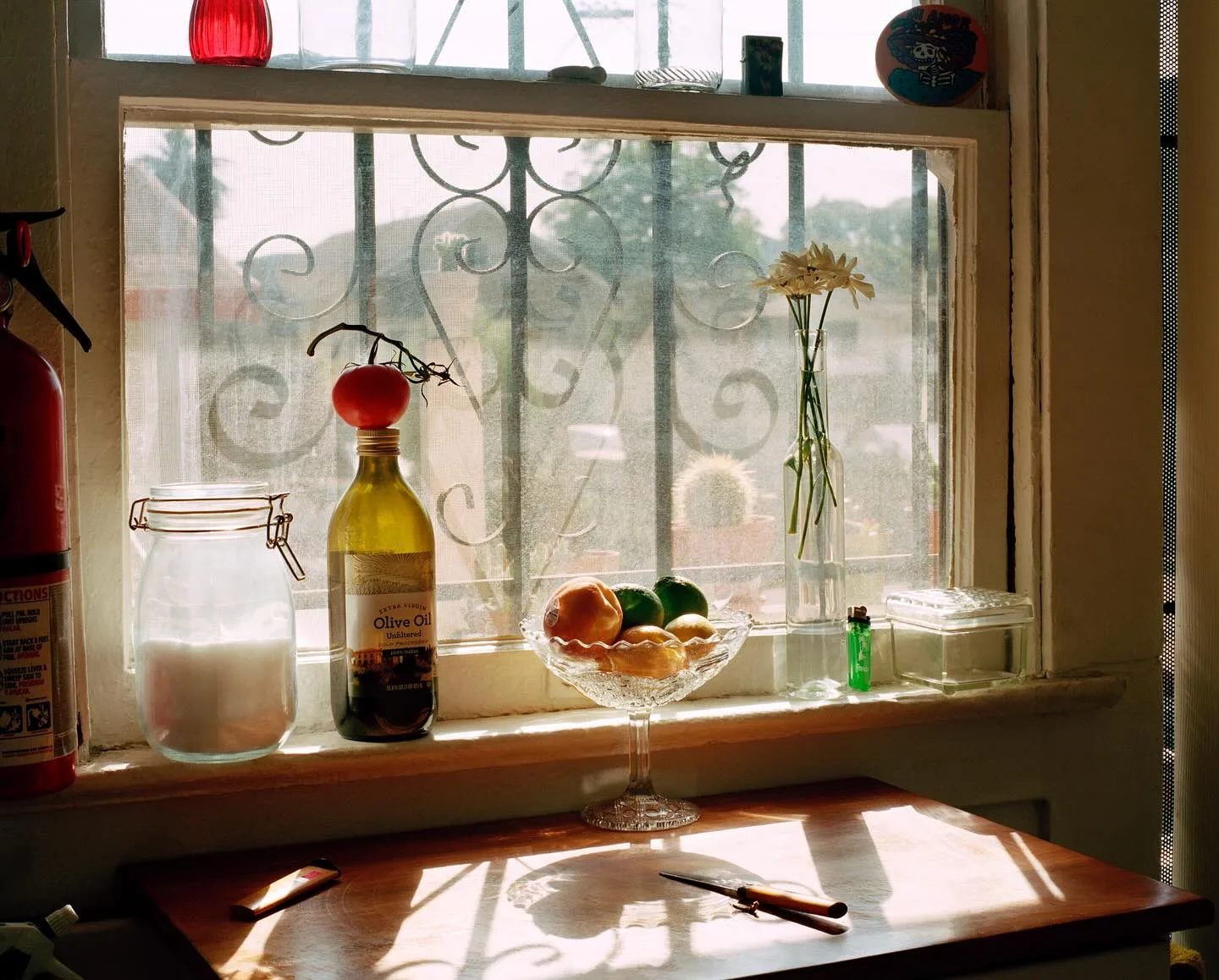 Molly Matalon 摄影作品 32