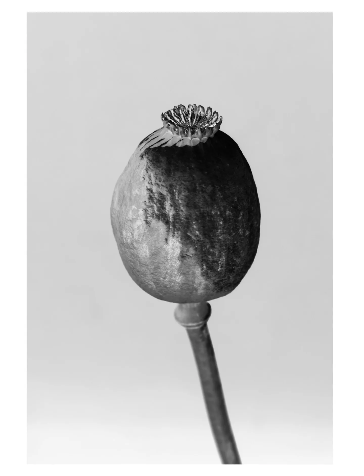 Lea Wormsbach 摄影作品 26