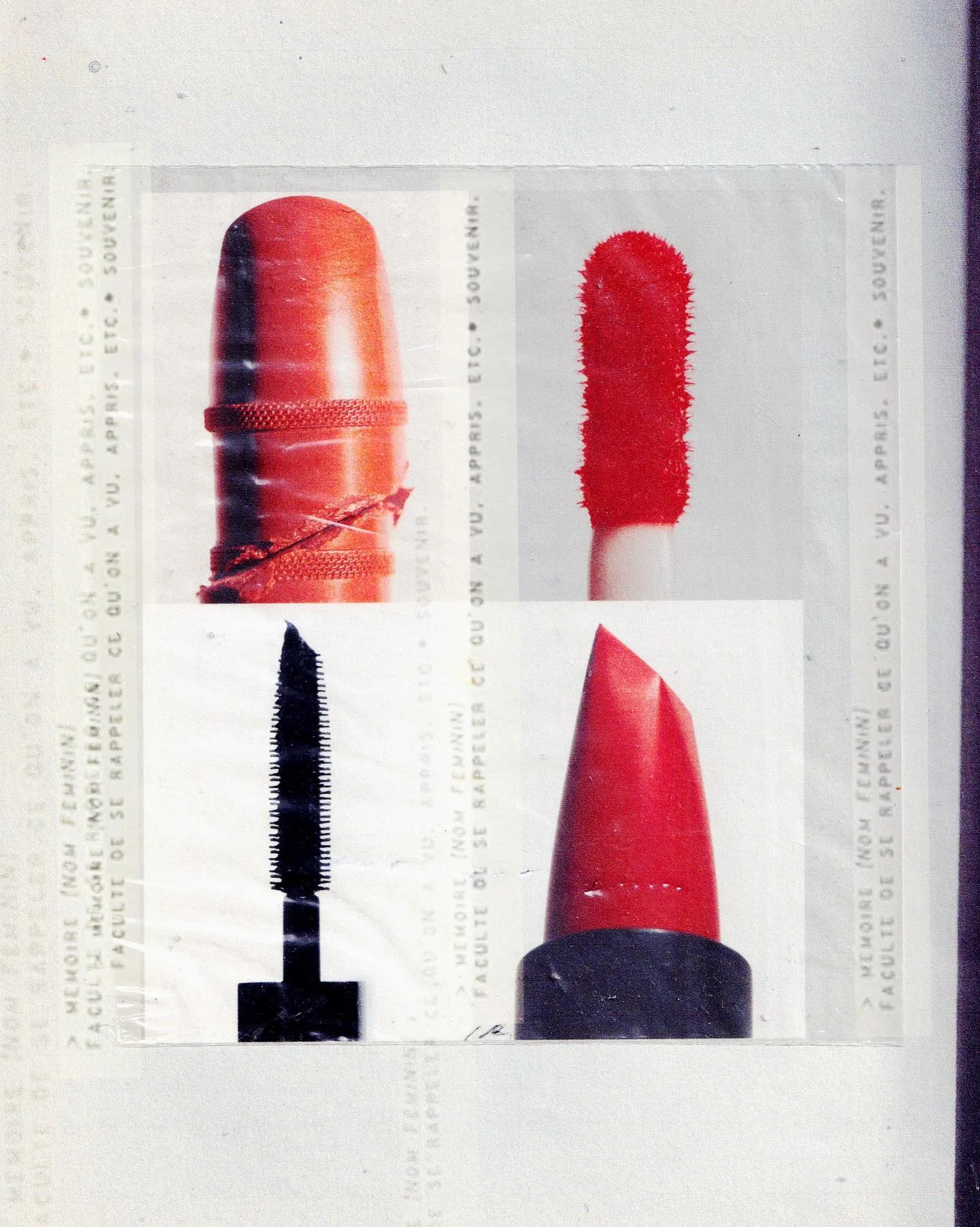 Betina Du Toit 摄影作品 28