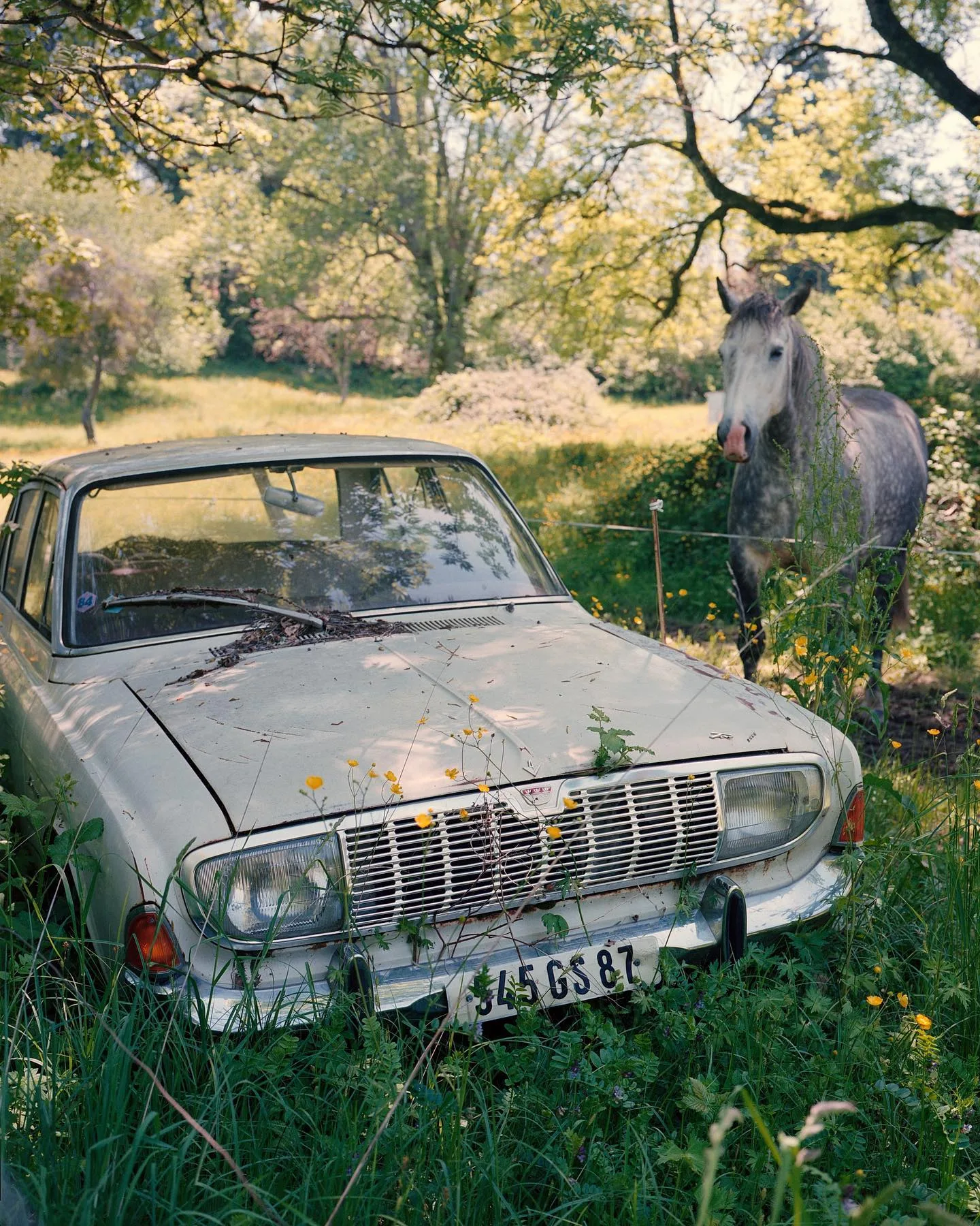 Fabien Dendievel 摄影作品 62