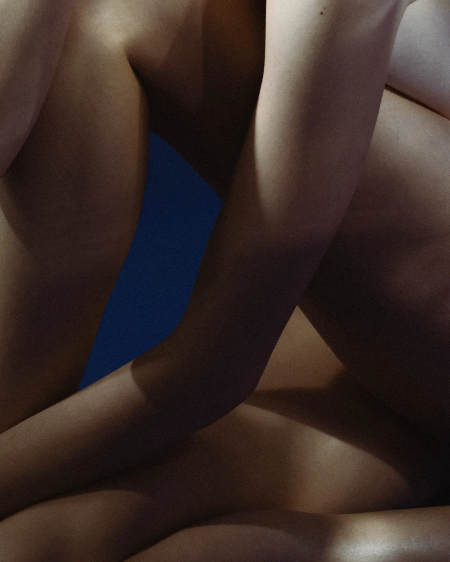 Laurent Castellani 摄影作品 24