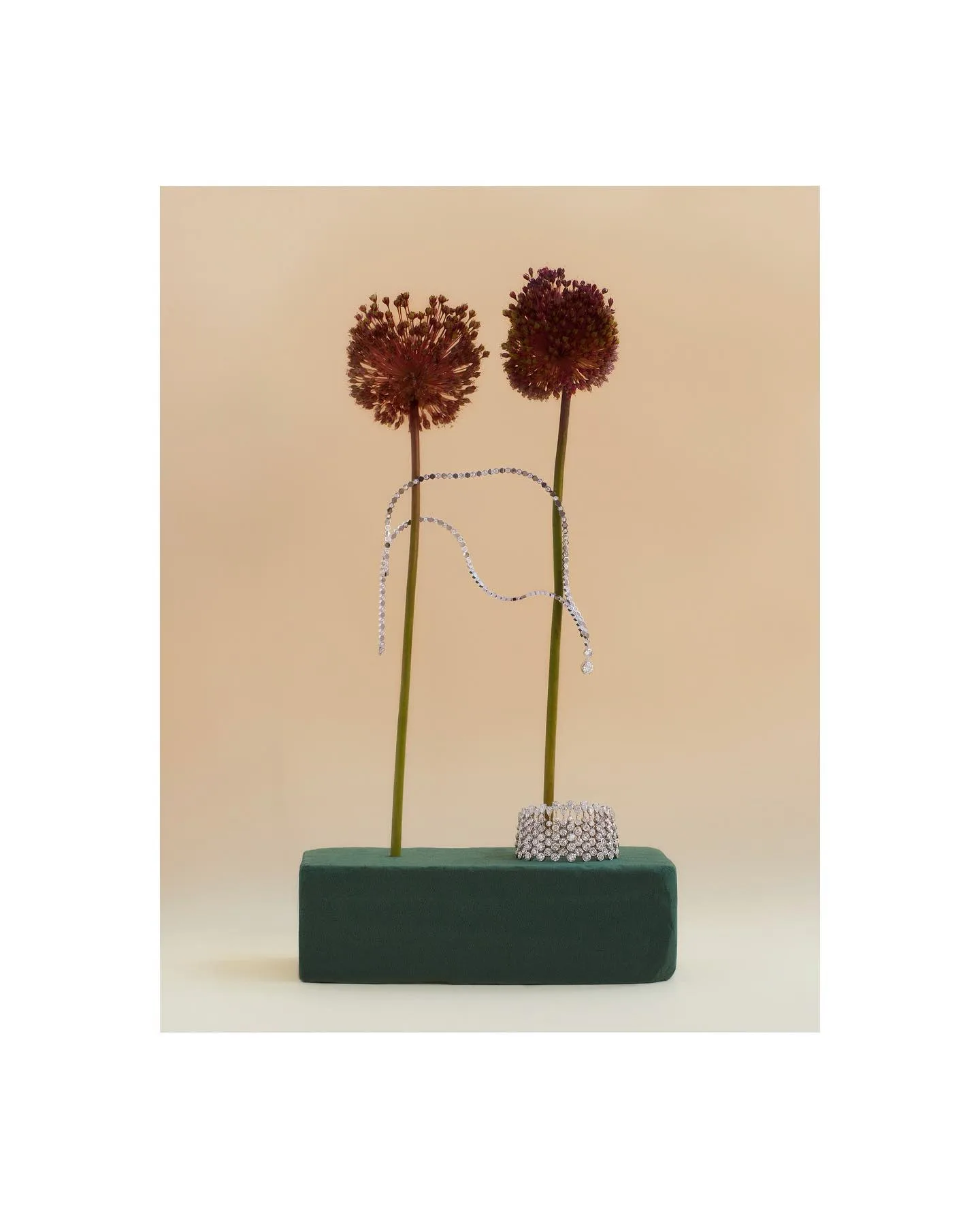 Ester Grass Vergara 摄影作品 31