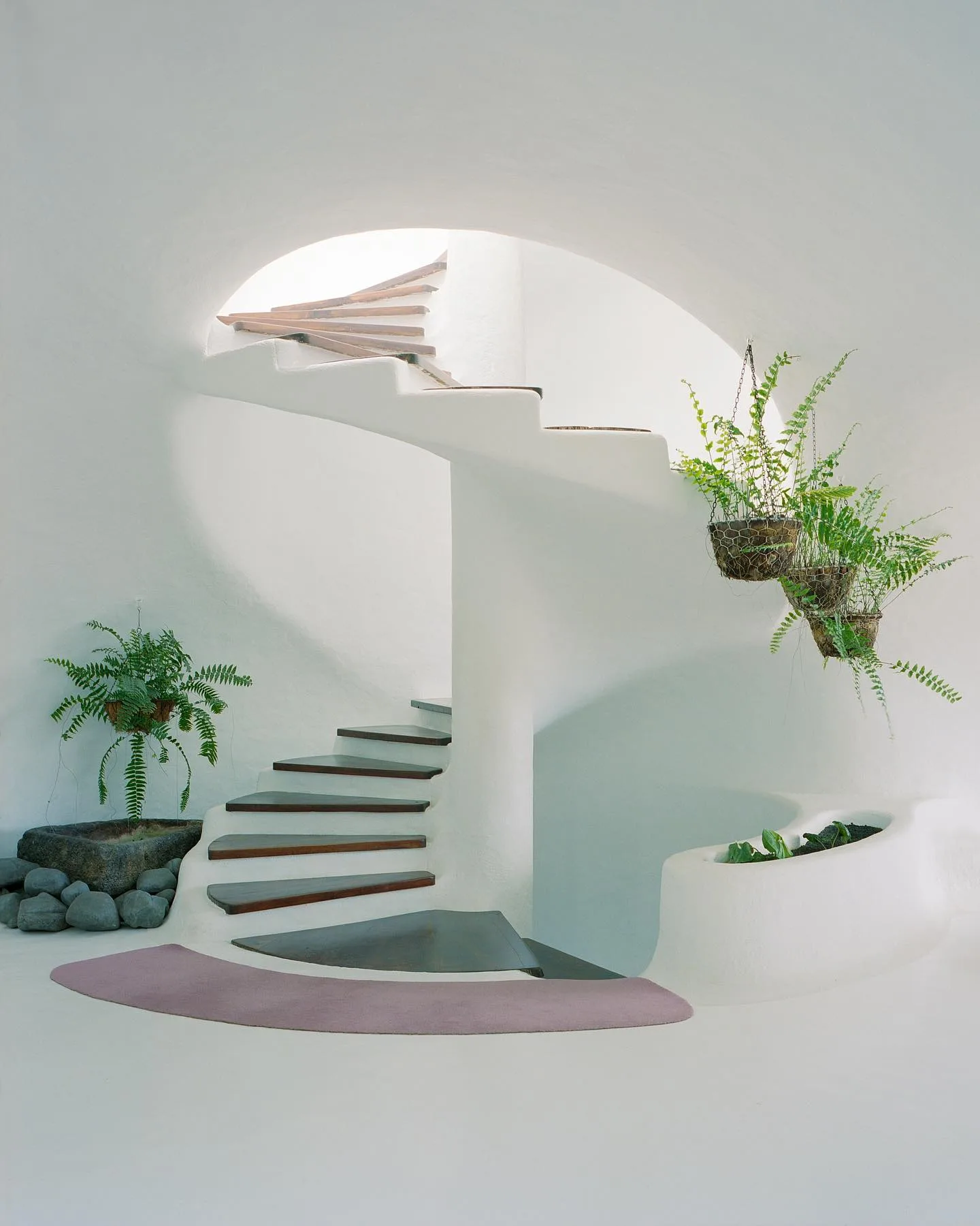 Fabien Dendievel 摄影作品 56