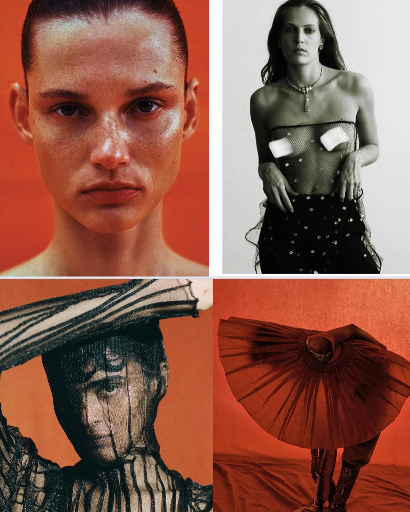 Sonia Szostak 摄影作品 66