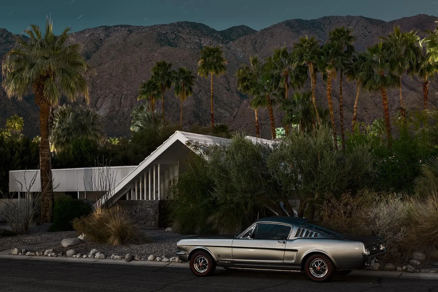 Tom Blachford 摄影作品 61