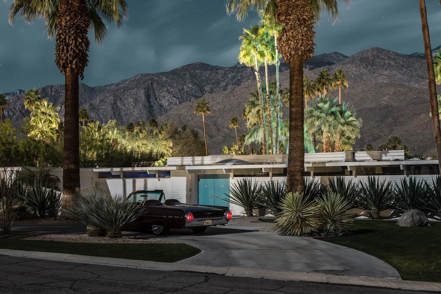Tom Blachford 摄影作品 63