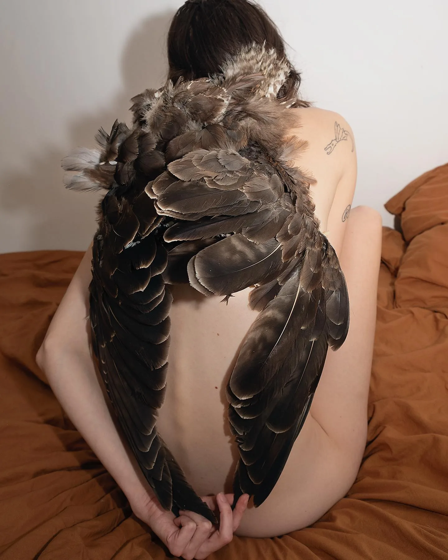 Hanna Antonsson 摄影作品 3