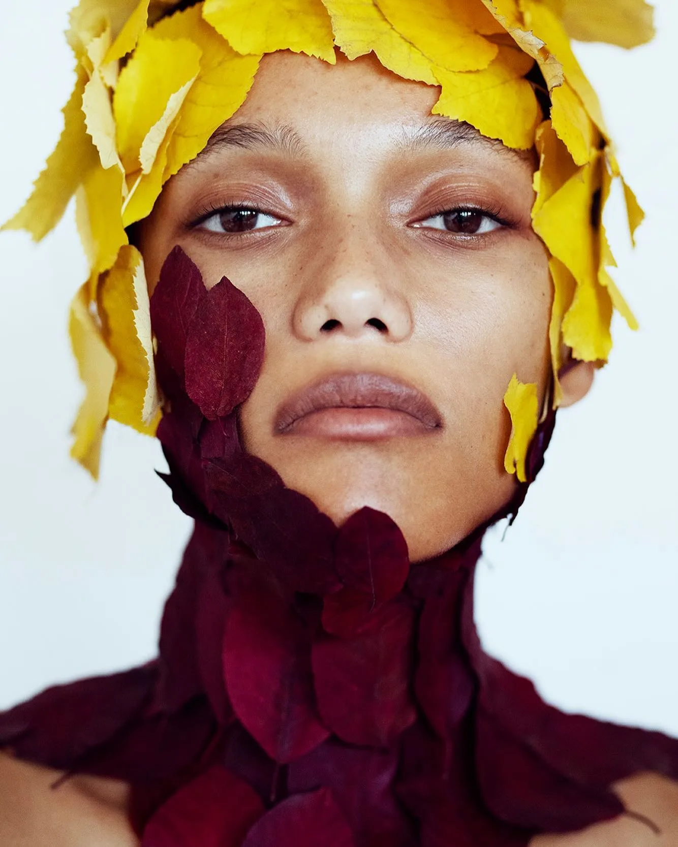 Marta Bevacqua 摄影作品 4