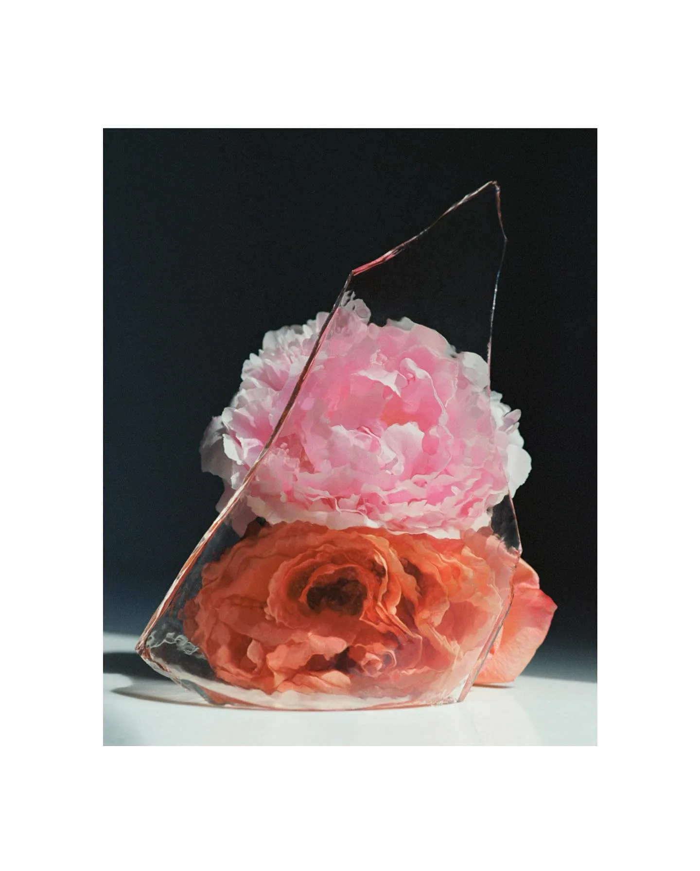 Ester Grass Vergara 摄影作品 8