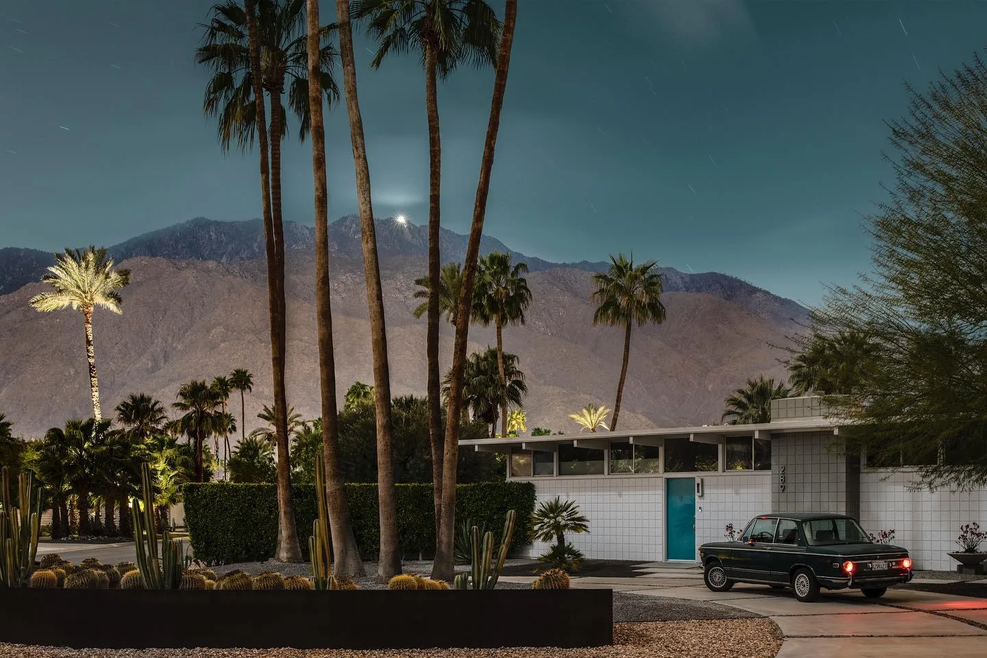Tom Blachford 摄影作品 23