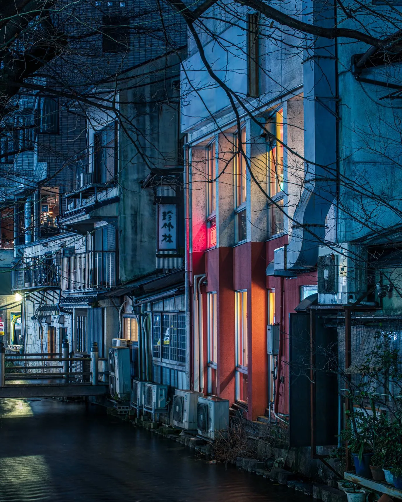 Tom Blachford 摄影作品 48
