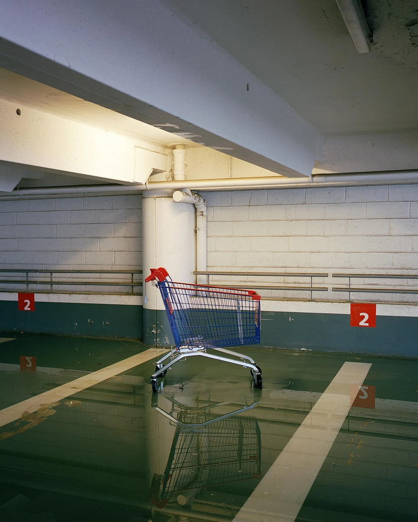 Fabien Dendievel 摄影作品 41