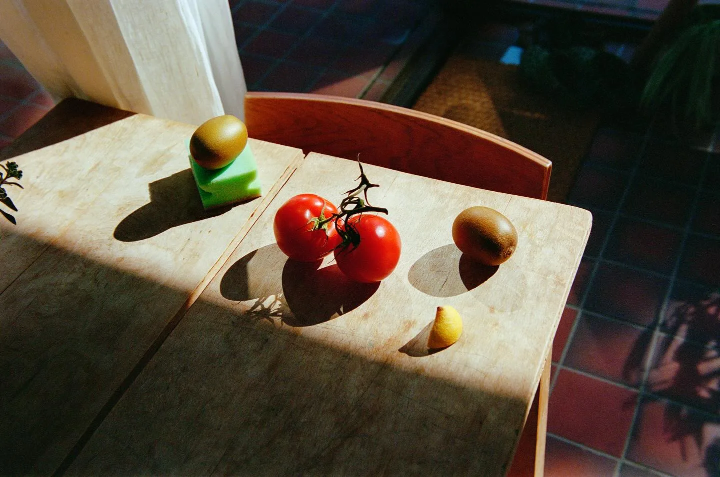 Molly Matalon 摄影作品 37