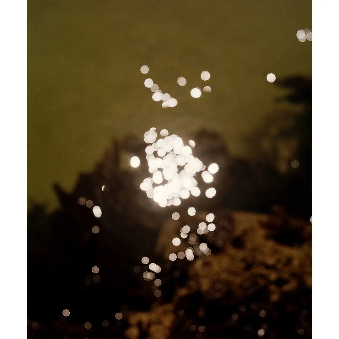 Kent Andreasen 摄影作品 49