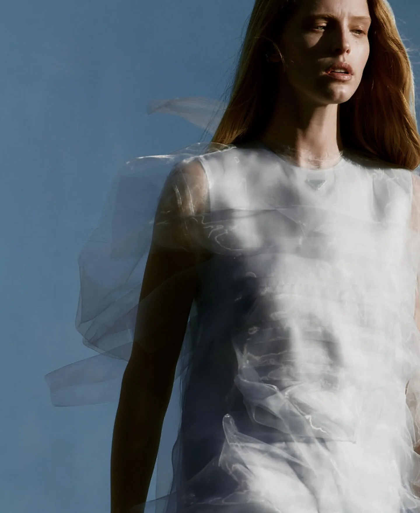 Sonia Szostak 摄影作品 9