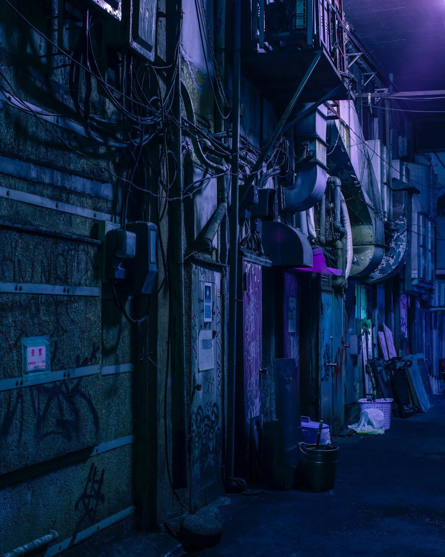 Tom Blachford 摄影作品 35