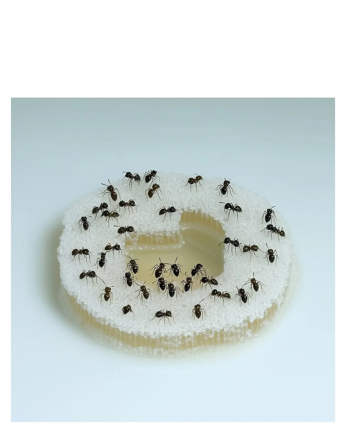 Kata Geibl 摄影作品 18