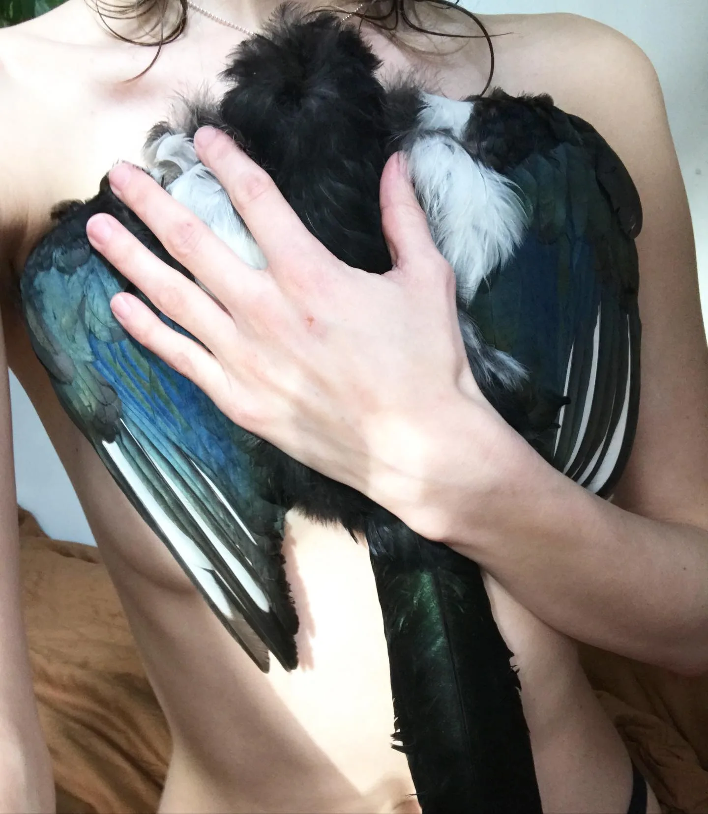 Hanna Antonsson 摄影作品 15