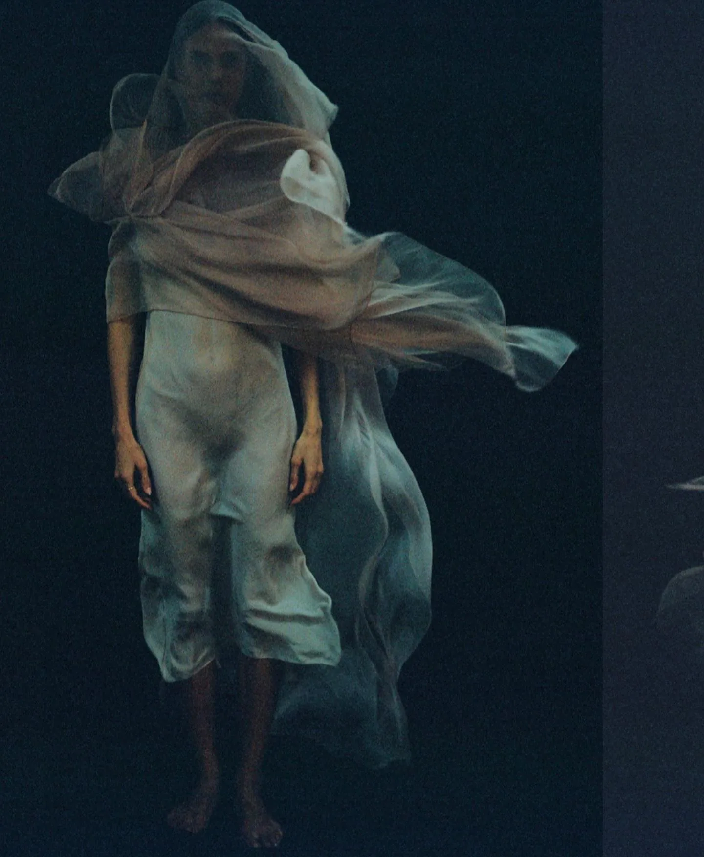 Sonia Szostak 摄影作品 24